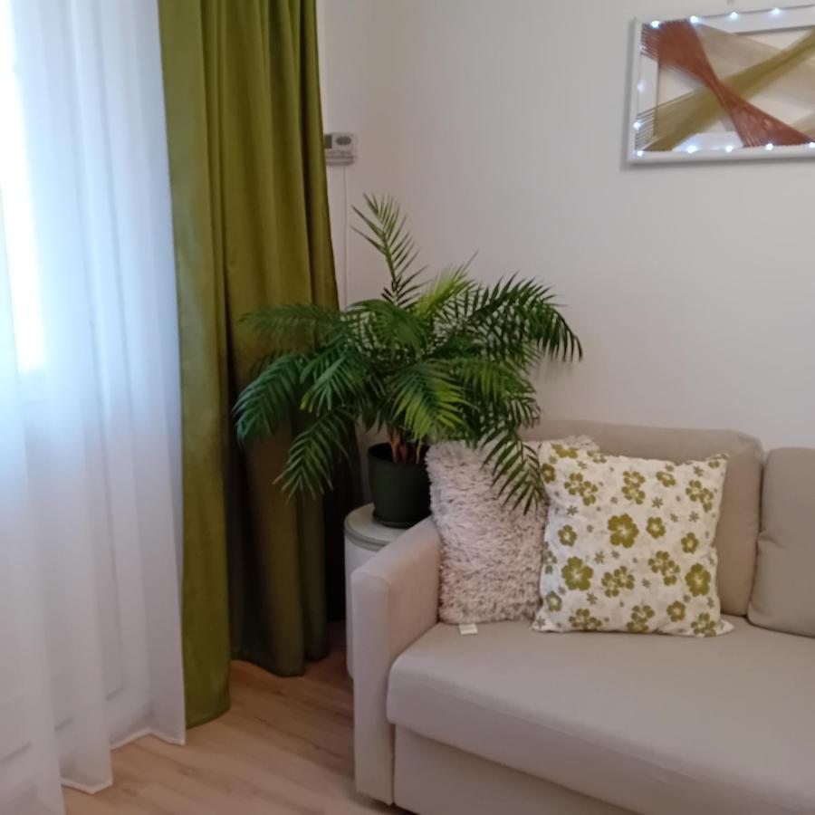Harmonyhouse Apartment Brasov Ngoại thất bức ảnh