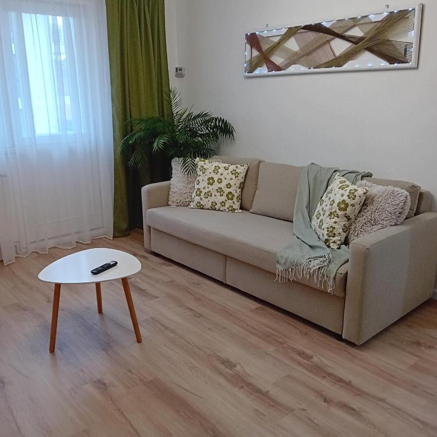 Harmonyhouse Apartment Brasov Ngoại thất bức ảnh
